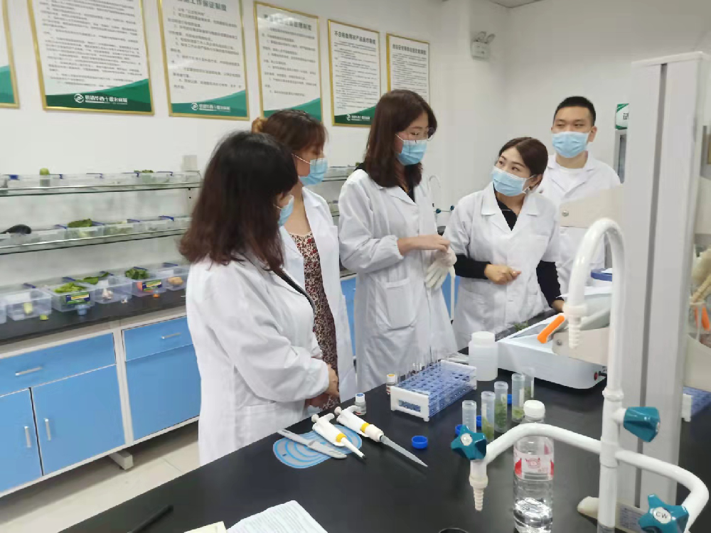 山東云唐派技術(shù)骨干至十堰農(nóng)商城現(xiàn)場培訓(xùn)